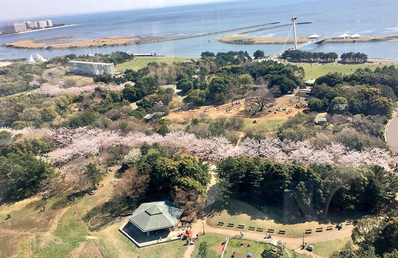 從摩天輪上觀看整個公園的景色（Credit: 葛西臨海公園大観覧車 twitter）